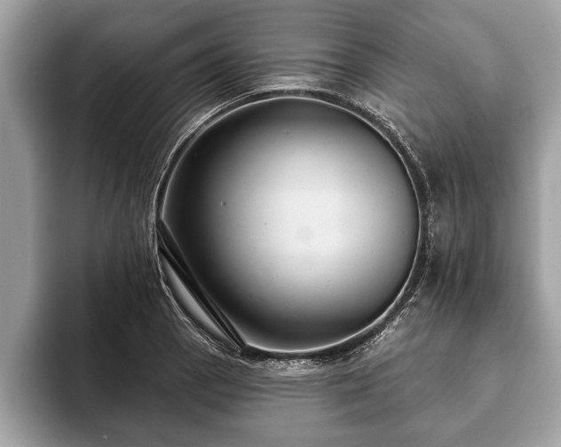 X0000093401129200710190919