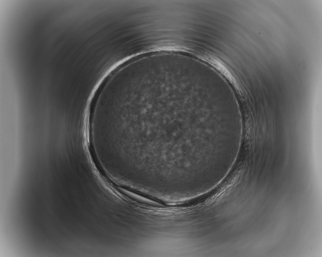 X0000093401132200710190919