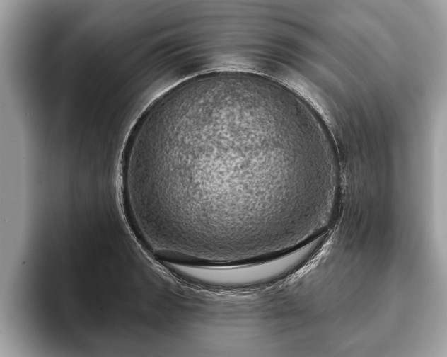 X0000093401133200710190919