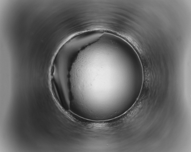 X0000093401134200710190919