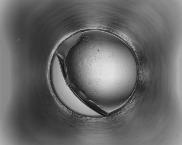 X0000093401136200710190919