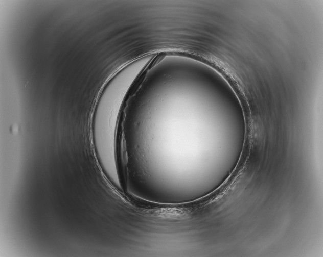 X0000093401137200710190919