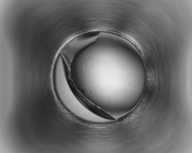 X0000093401138200710190919