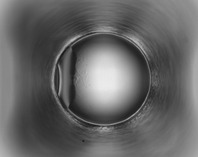 X0000093401139200710190919