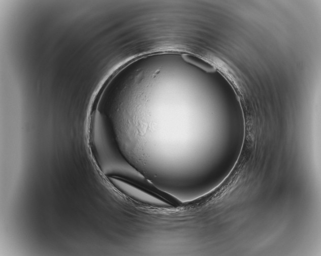 X0000093401140200710190919