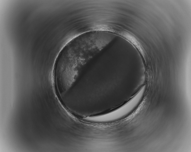 X0000093401141200710190919