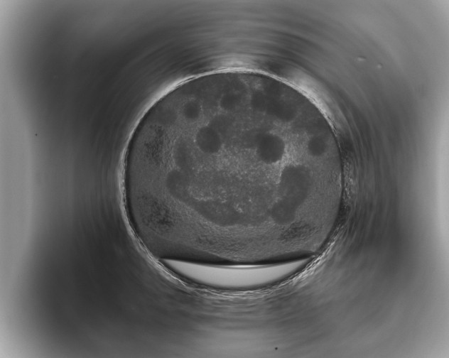 X0000093401142200710190919