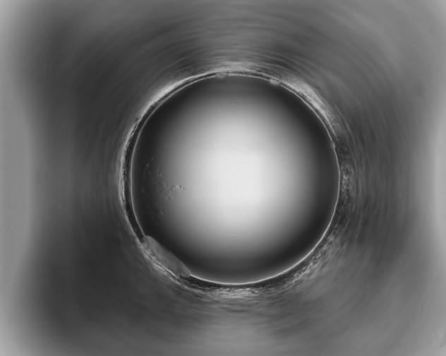 X0000093401143200710190919