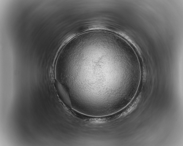 X0000093401145200710190919