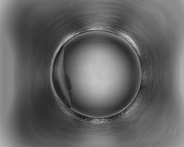 X0000093401146200710190919