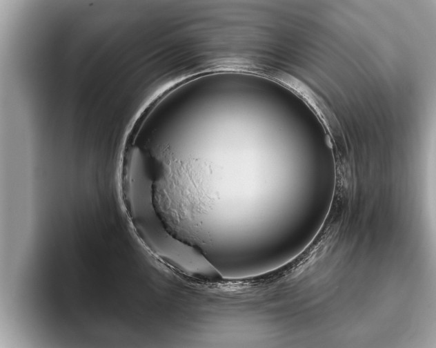 X0000093401147200710190919