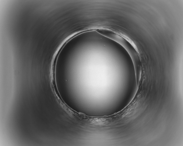 X0000093401148200710190919