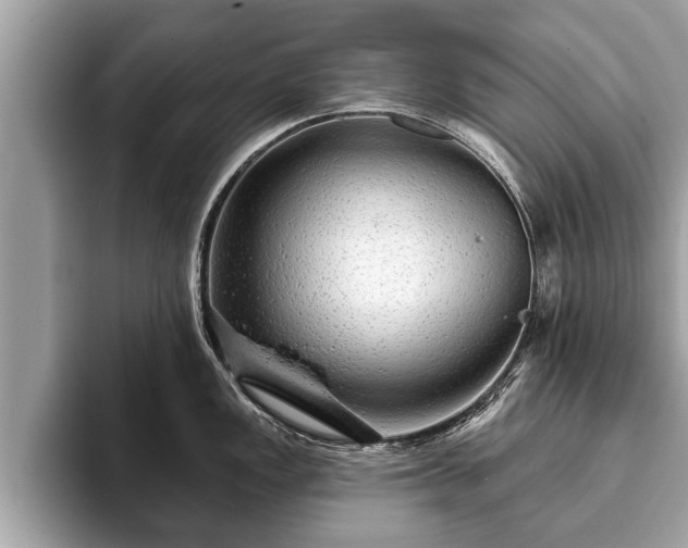 X0000093401149200710190919