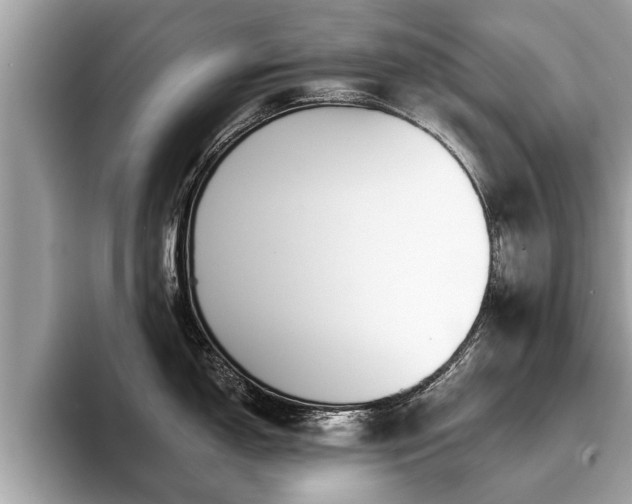 X0000093401150200710190919