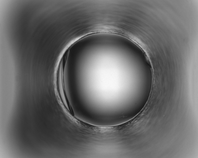 X0000093401152200710190919