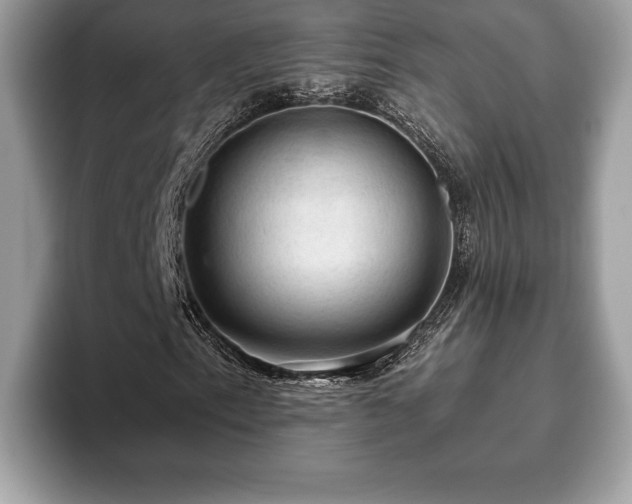 X0000093401153200710190918