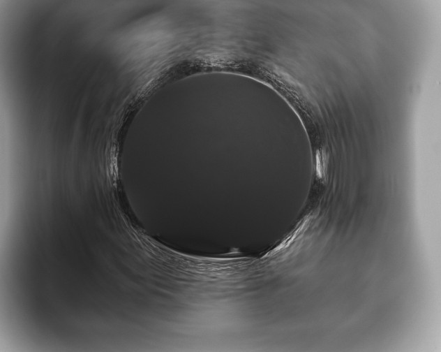 X0000093401155200710190918