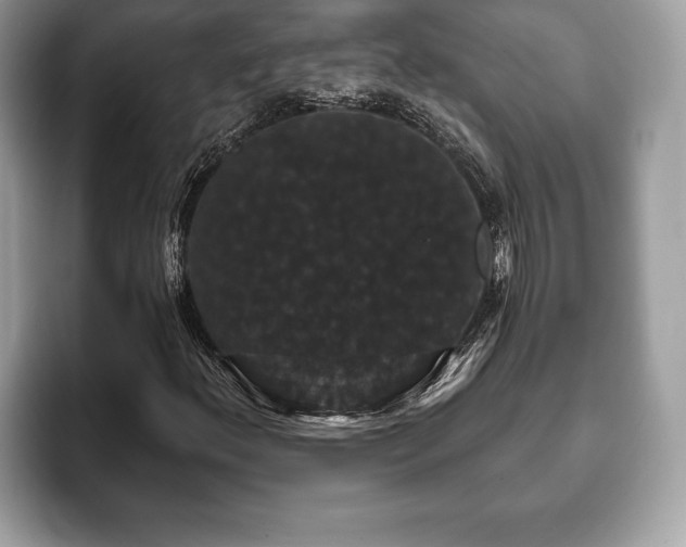 X0000093401156200710190918