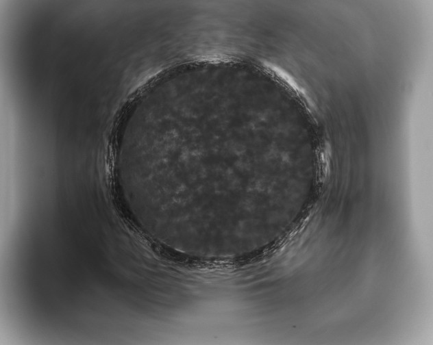 X0000093401158200710190918