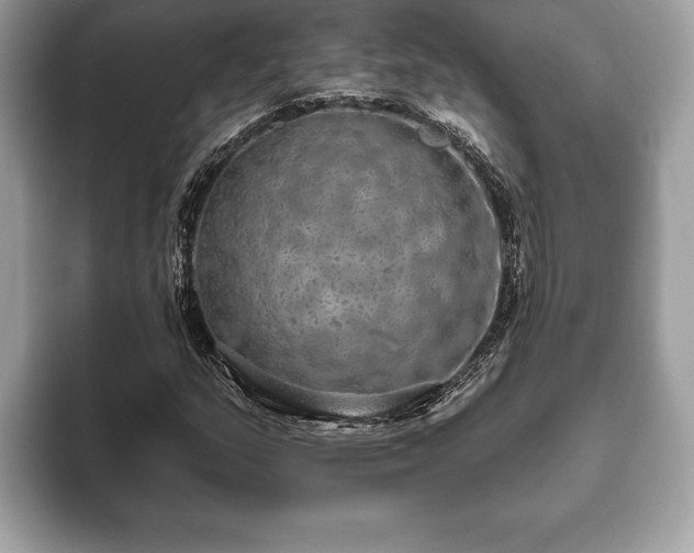 X0000093401159200710190918