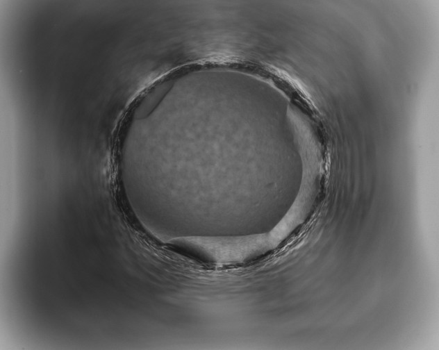 X0000093401160200710190918