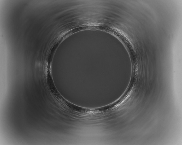 X0000093401161200710190918
