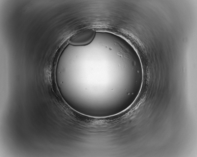 X0000093401162200710190918