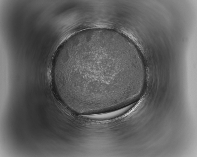 X0000093401163200710190918