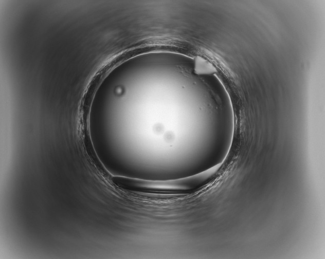 X0000093401164200710190918