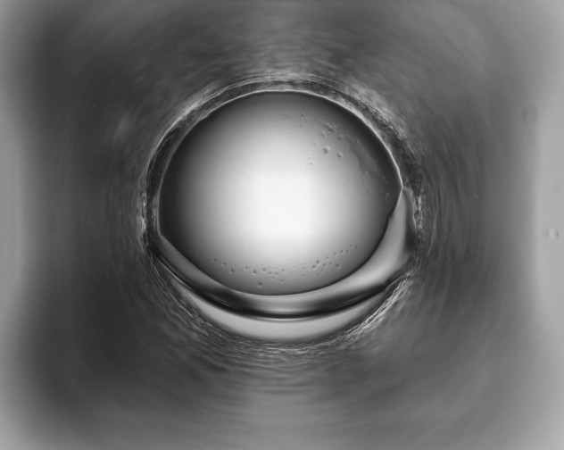 X0000093401165200710190918