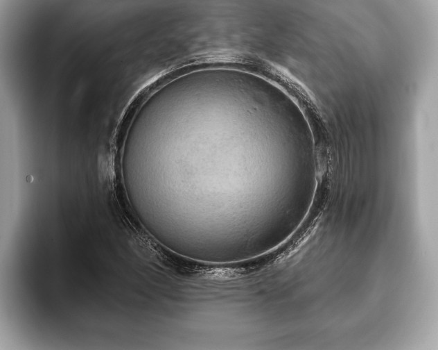 X0000093401166200710190918