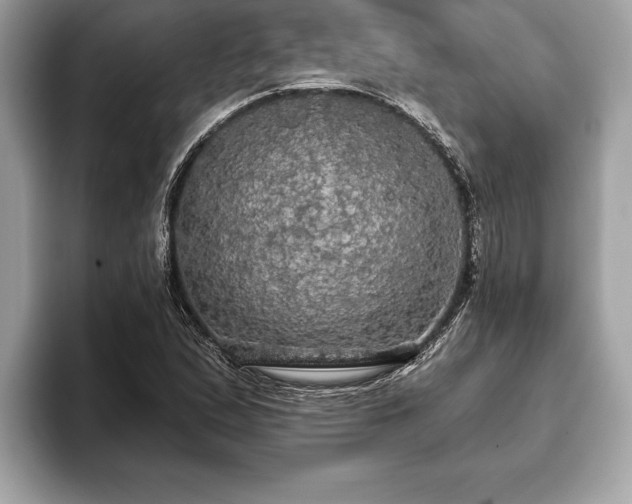 X0000093401167200710190918