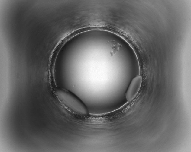 X0000093401168200710190918