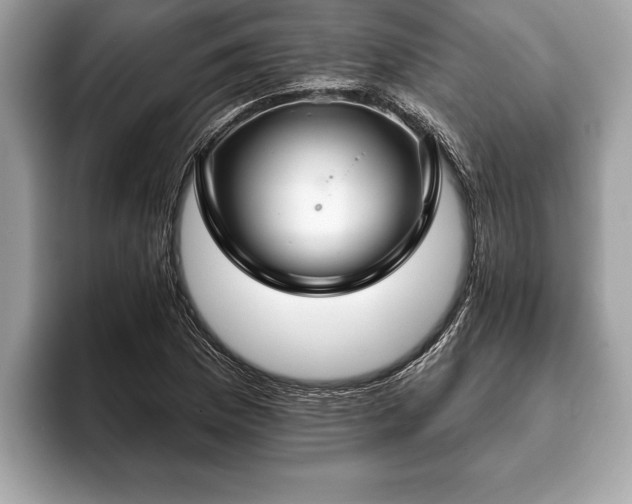 X0000093401169200710190918