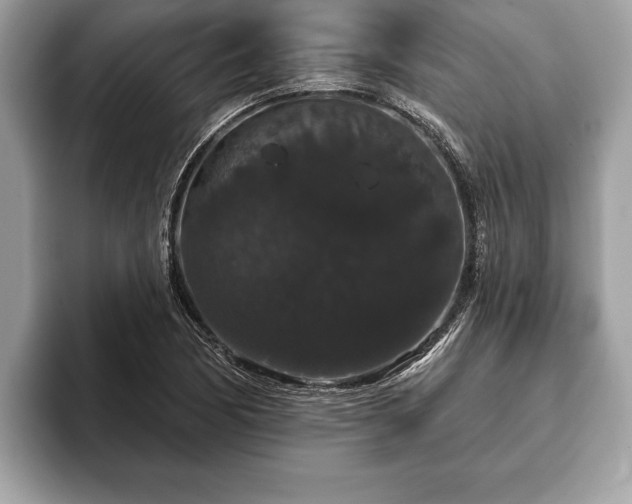 X0000093401170200710190918