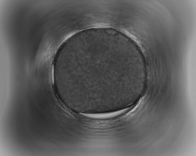 X0000093401171200710190918