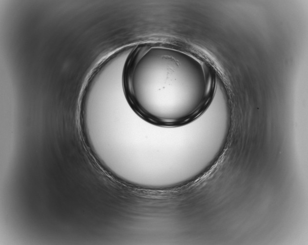 X0000093401172200710190918