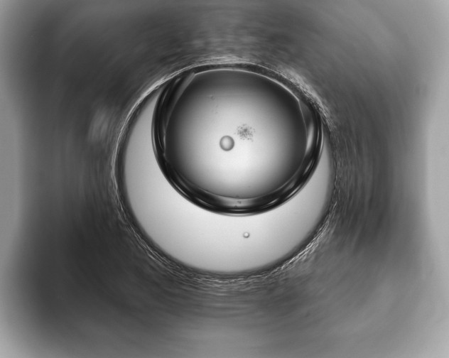 X0000093401173200710190918