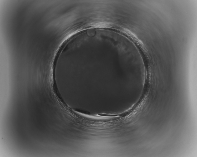 X0000093401174200710190918