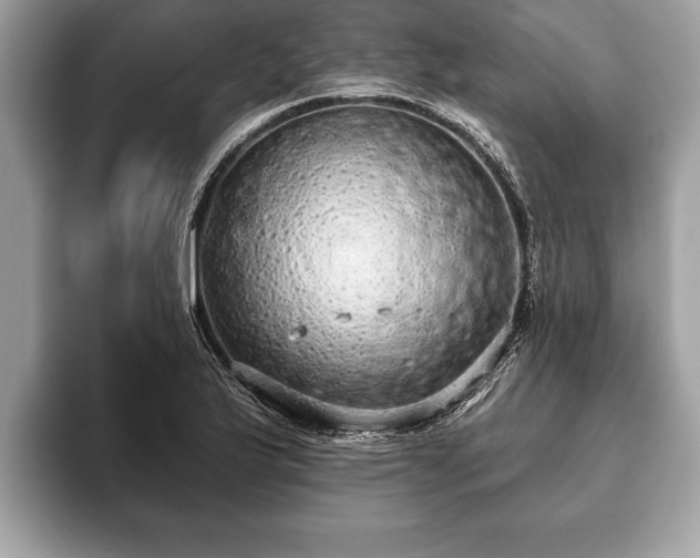 X0000093401175200710190918