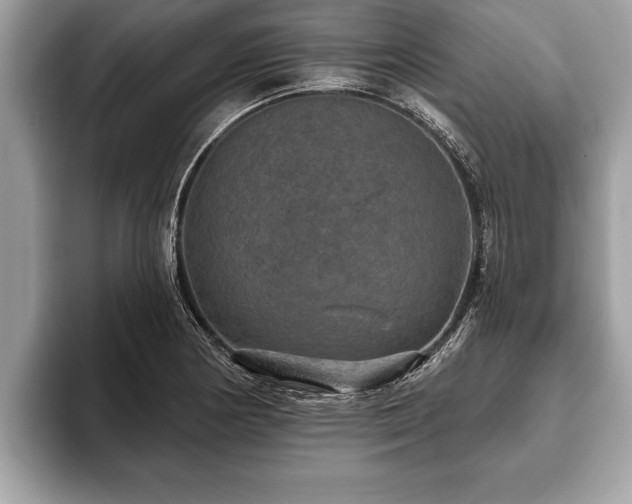 X0000093401178200710190918