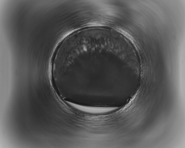 X0000093401179200710190918