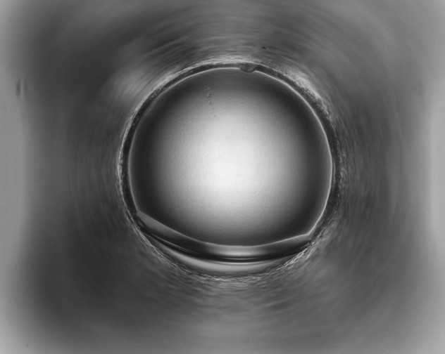 X0000093401181200710190918