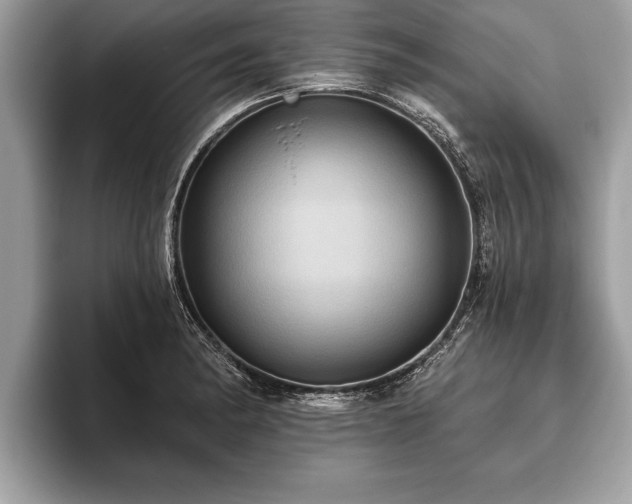 X0000093401182200710190918