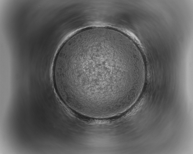 X0000093401183200710190918