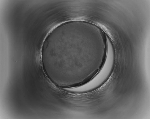 X0000093401184200710190918