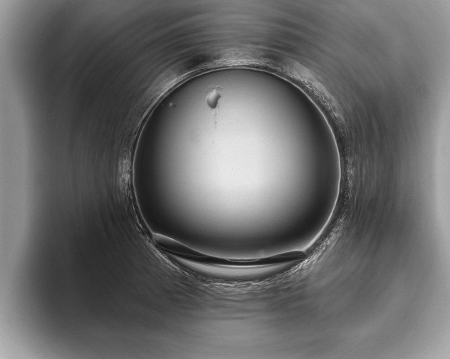 X0000093401185200710190918