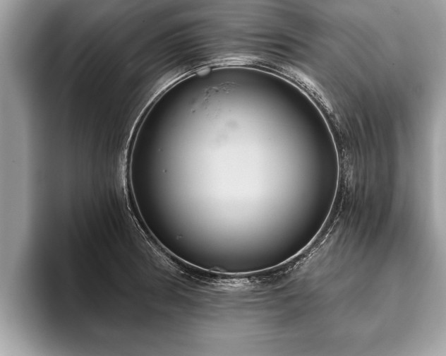 X0000093401186200710190918