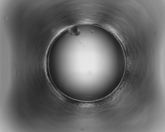 X0000093401187200710190918