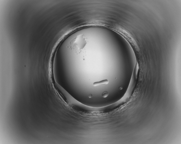 X0000093401188200710190918